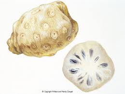 How To Eat Cheese Fruit